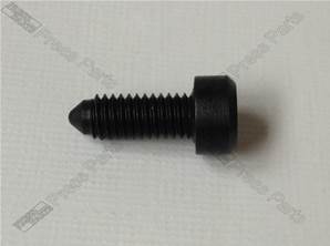 Locking Screw convex